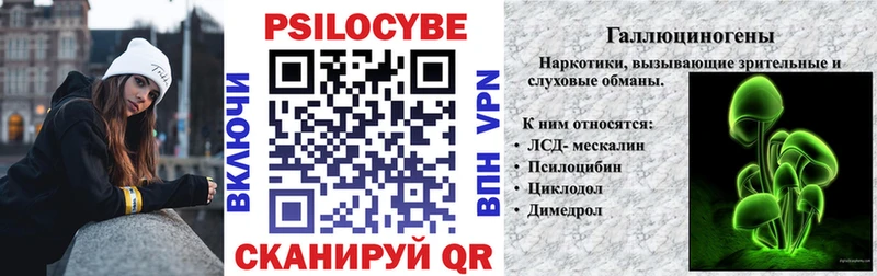 Галлюциногенные грибы MAGIC MUSHROOMS  ОМГ ОМГ вход  Торопец  цены наркотик 