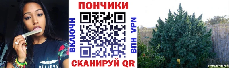 Канабис планчик  Торопец 